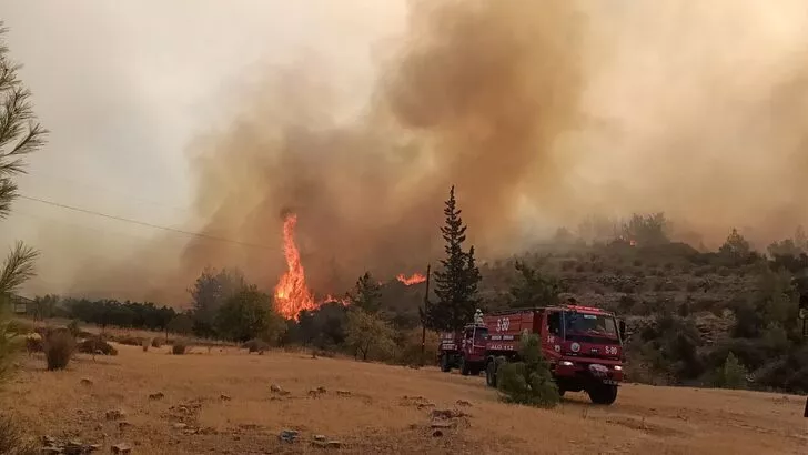 Mersin’de orman yangını