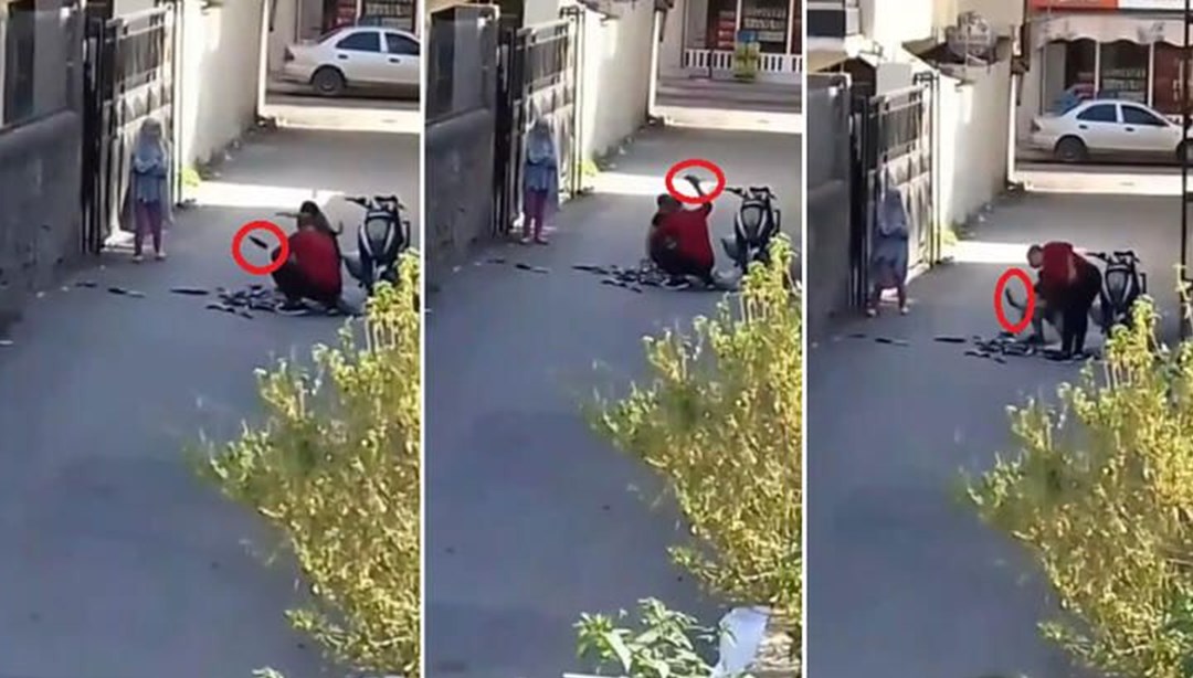 Tepki çeken görüntü: Balıkları taşla ve yere vurarak öldürdüler