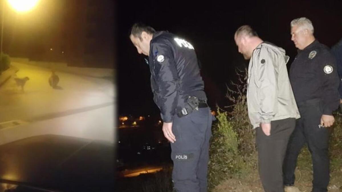 Borçka’da ilçe merkezine inen ayı paniğe neden oldu
