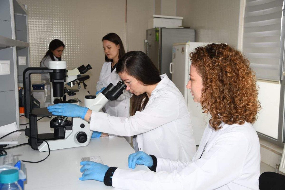Türkiye’de kanser aşısı çalışmalarında hayvan deneylerine geçiliyor