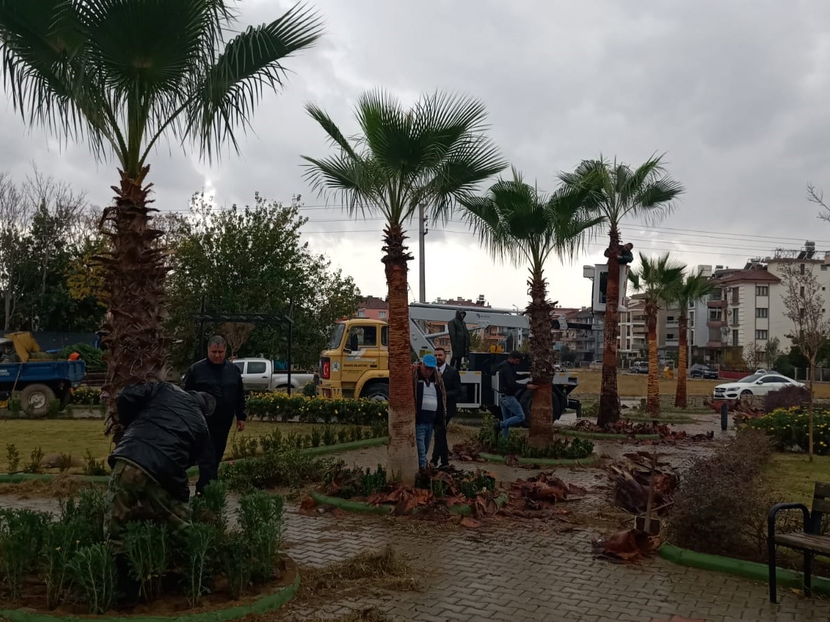 Eğitim Şehitleri Parkı’ndaki palmiyeler için örnek duyarlılık