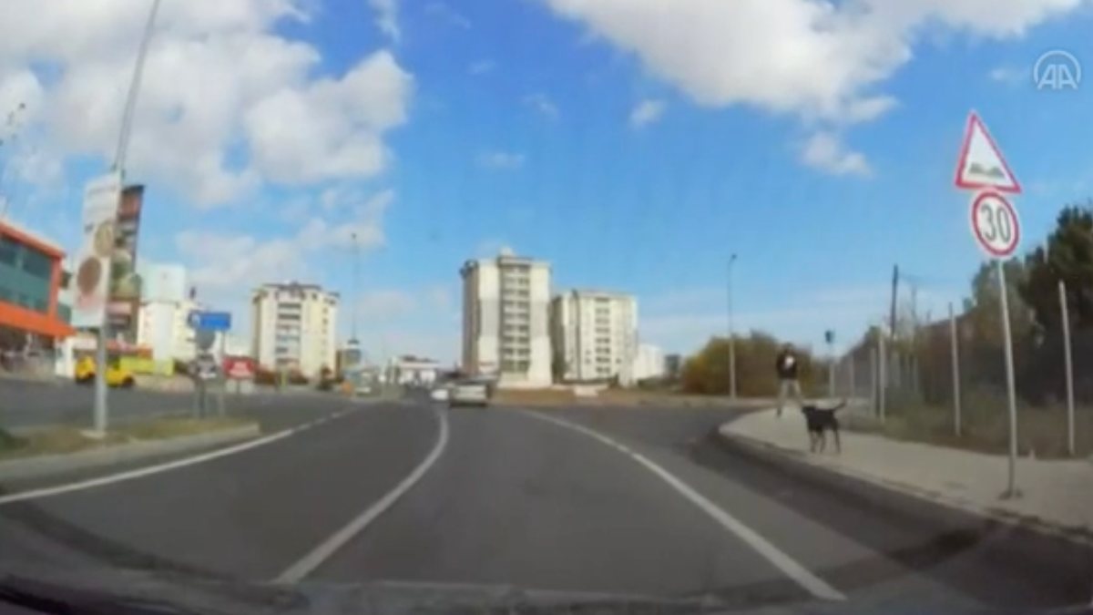 Tekirdağ’da sokak köpeğinin kovaladığı çocuğu kurtardı