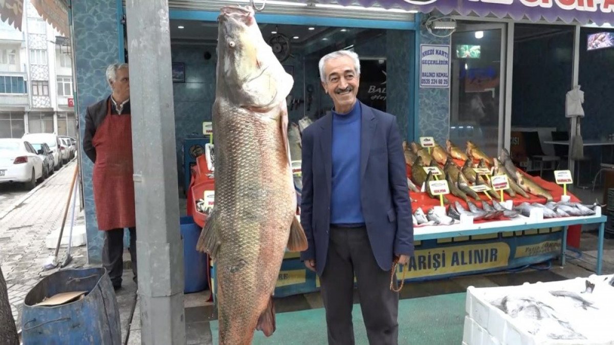 Elazığ’da avladığı 128 kiloluk ‘Fırat turnası’nı iş yerinde sergiliyor