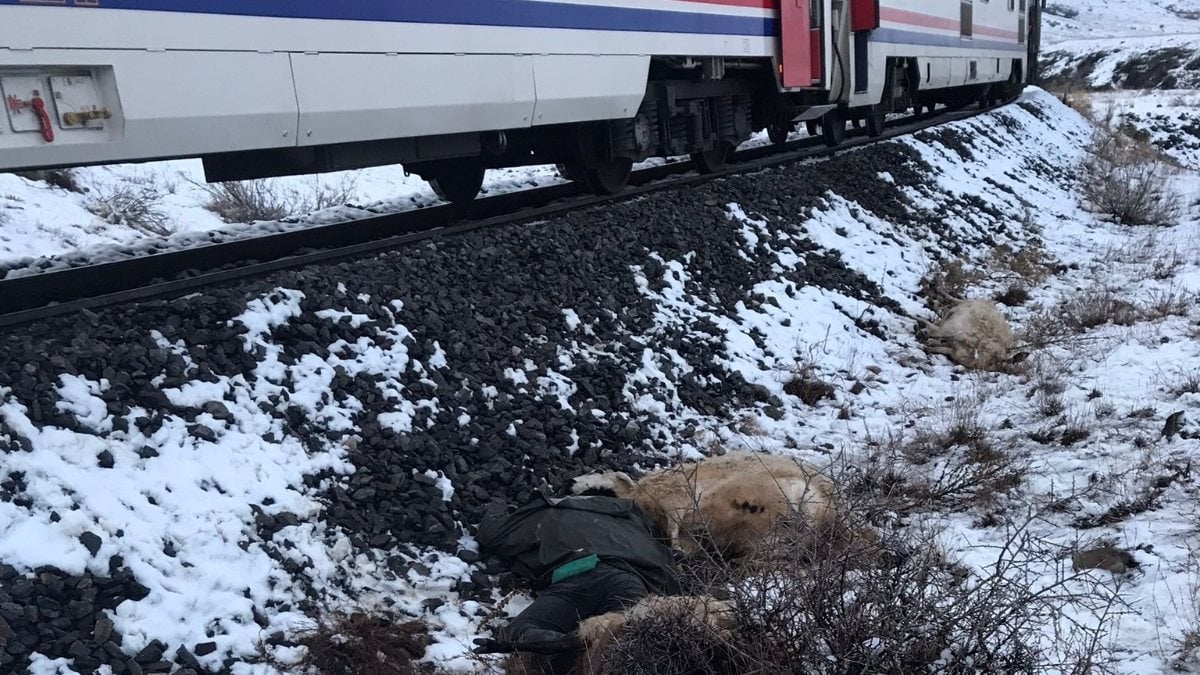 Erzincan’da trenin çarptığı çoban öldü