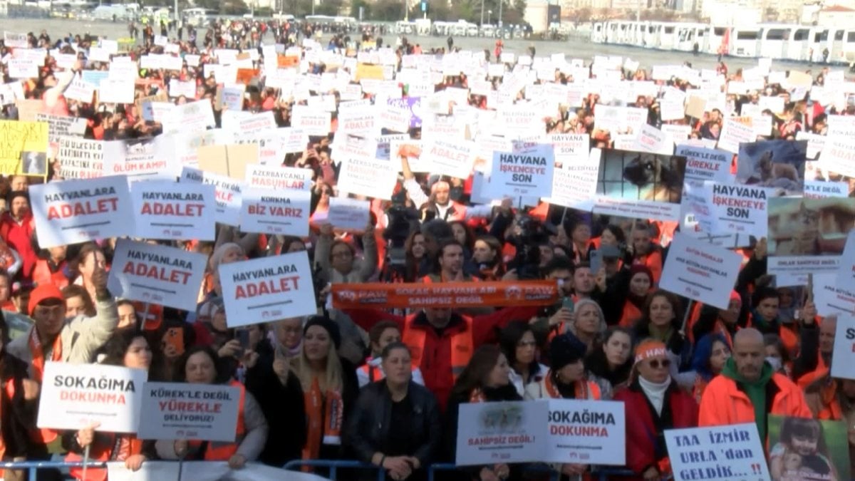 Hayvanseverler Yenikapı’da miting düzenledi