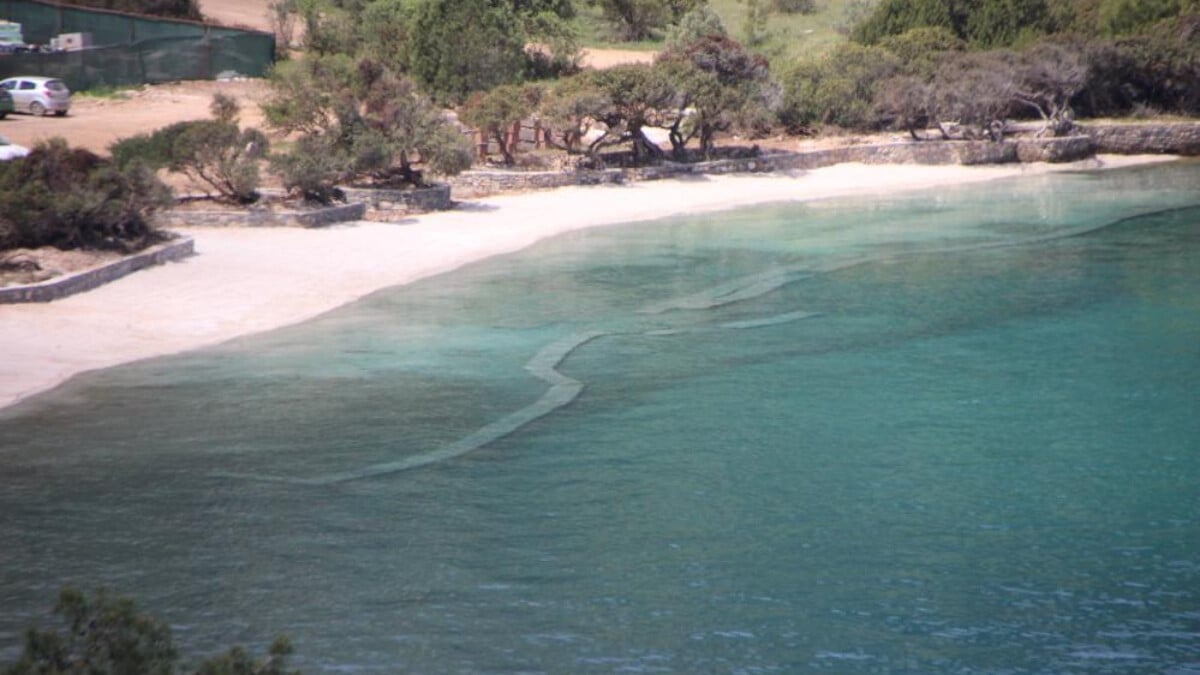 Bodrum sahilinde bir kez daha beyaz kum skandalı