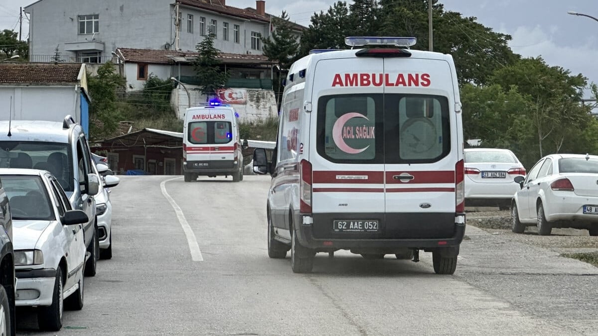 Tunceli’de topladıkları mantarlardan zehirlenen anne ve oğlu hastaneye kaldırıldı