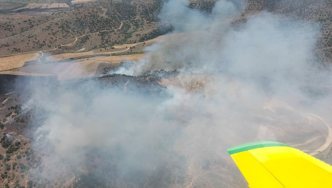 İzmir’de tarlada başlayan yangın ormana sıçradı