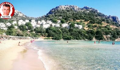 Bodrum’da Uluslararası Balık Festivali yapılacak.