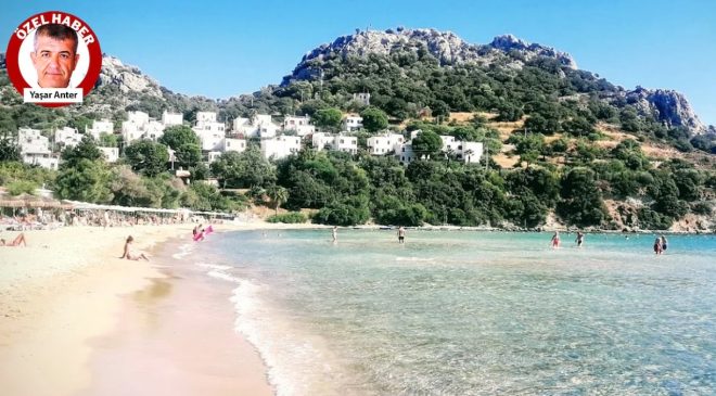 Bodrum’da Uluslararası Balık Festivali yapılacak.