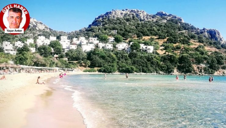 Bodrum’da Uluslararası Balık Festivali yapılacak.