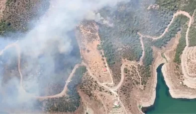 İzmir Seferihisar’da Orman Yangını