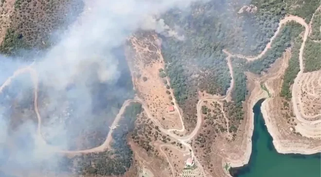 İzmir Seferihisar’da Orman Yangını