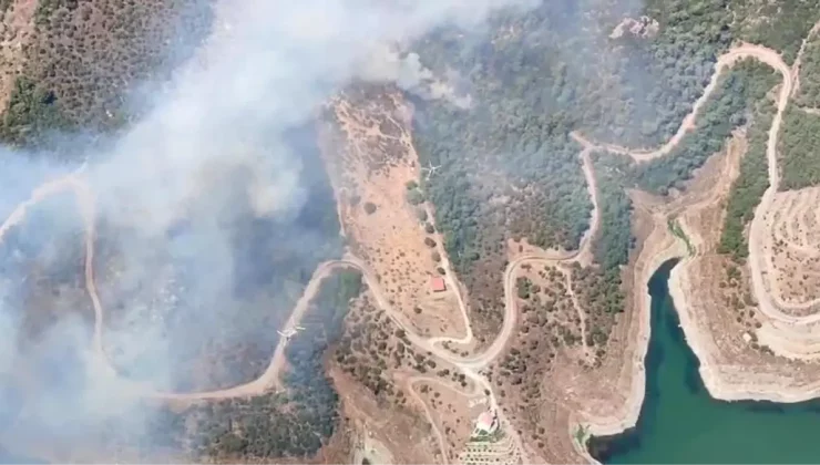 İzmir Seferihisar’da Orman Yangını