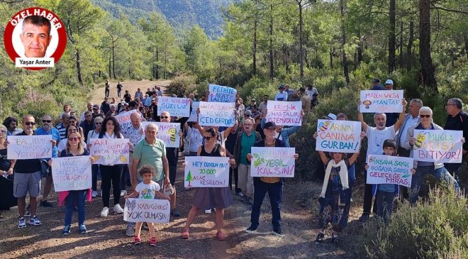 Orman içindeki mermer ocaklarının ÇED süreçleri durduruldu