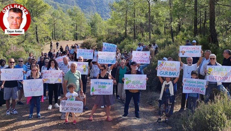 Orman içindeki mermer ocaklarının ÇED süreçleri durduruldu
