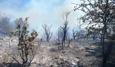 Seferihisar’daki Orman Yangını Kontrol Altına Alındı
